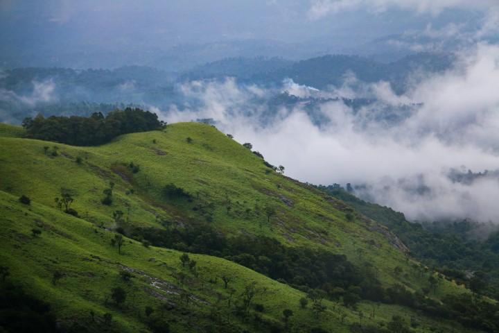 7 Days Karnataka Tour (Mysore, Coorg, Wayanad, Bangalore)