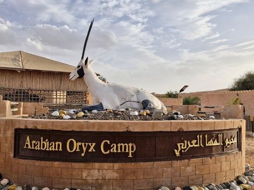 Arabian Oryx Camp