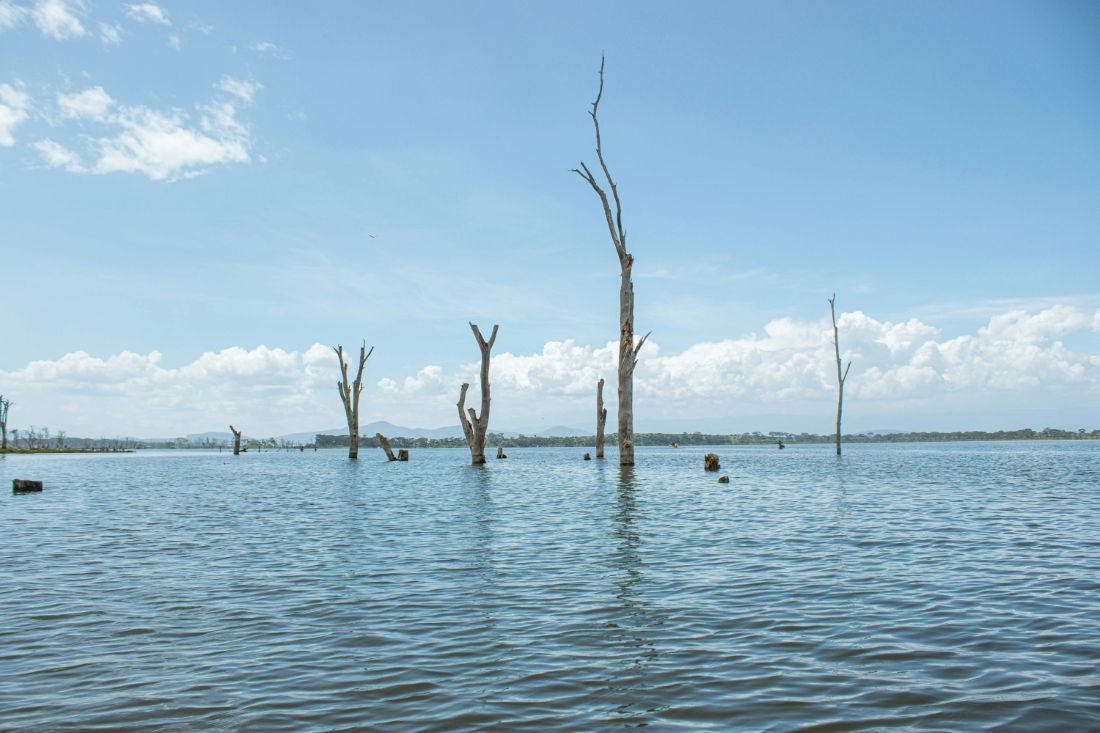 Must-have Experiences in Lake Naivasha