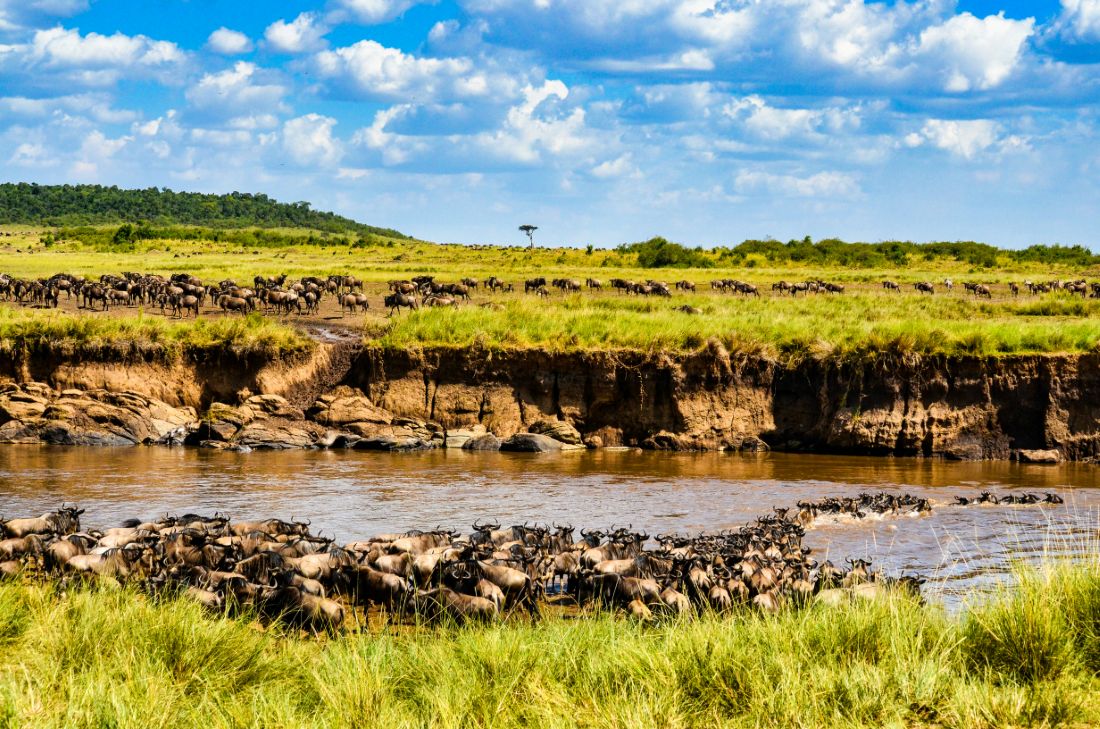 Must try Local Foods and Restaurants in Maasai Mara