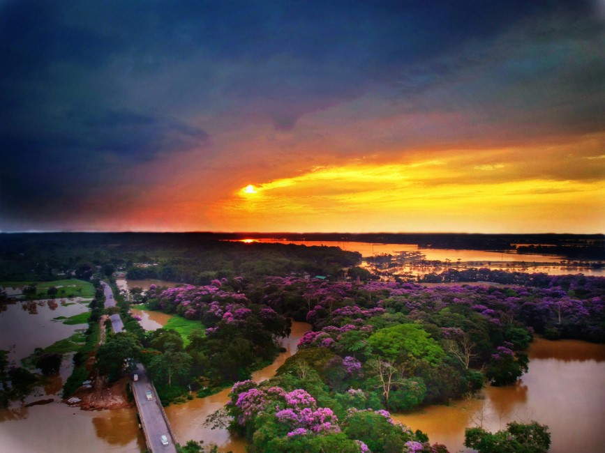 Essential Travel Tips while visiting Assam Meghalaya