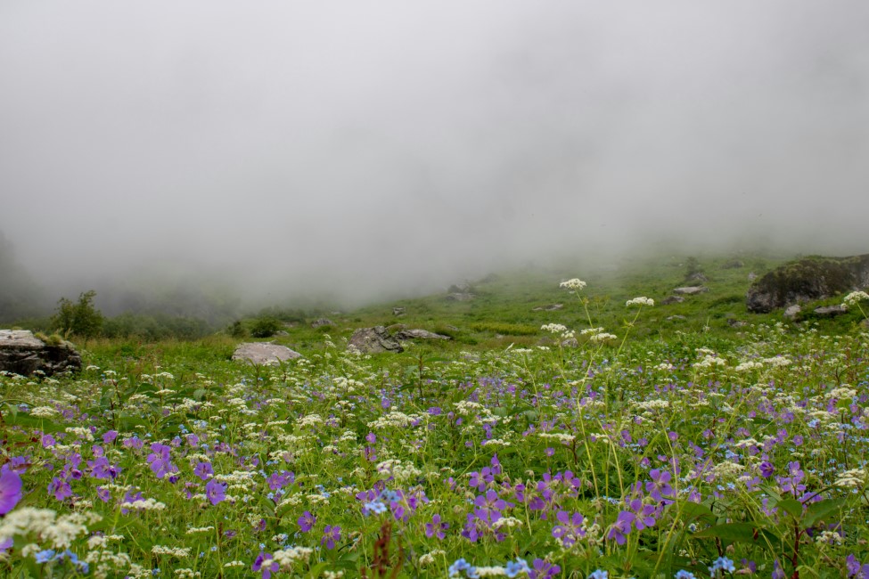 Do’s & Don’ts in Uttarakhand