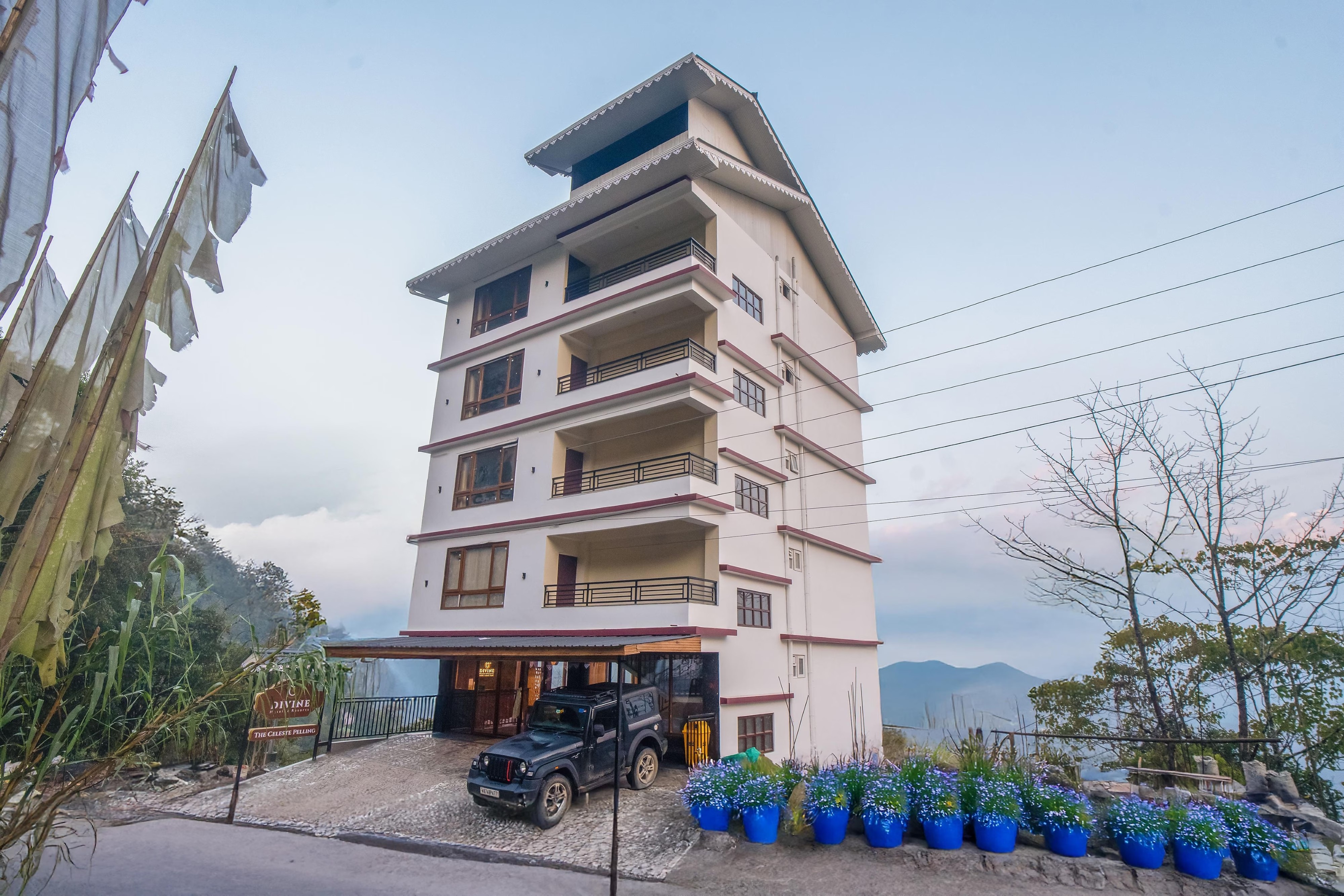 Divine The Celeste Pelling