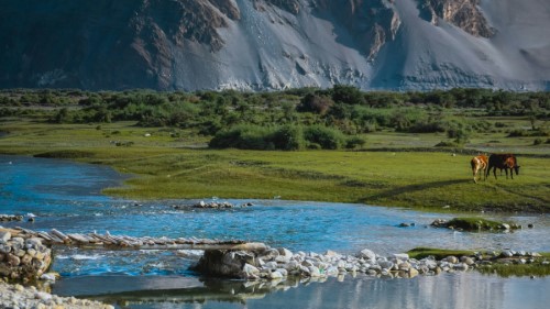 Nubra Valley