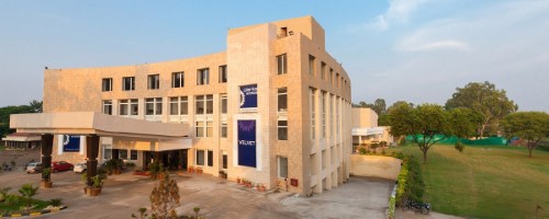 Velvet Clarks Exotica