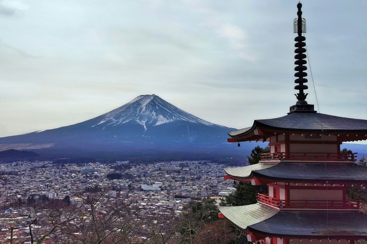 8 Days Japan Tour (Tokyo, Kyoto, Osaka)